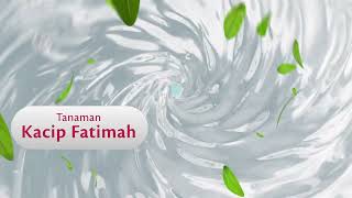 Baharu Pembersih Kewanitaan Sumber Ayu Dengan Ekstrak Kacip Fatimah
