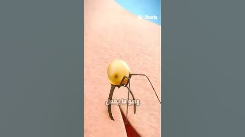 Ancient technique using ants to stitch wounds  natural sutures from ant jaws in traditional medicine