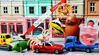 Fish have taken over the road! Let's solve the case with various cars. car toys play by KIDS TOY LAND 21,439 views 10 months ago 3 minutes, 5 seconds