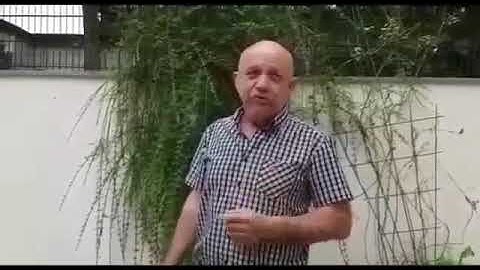 Аллергия, Астма. Германия. Леденцы APL отзывы. APLGO результаты