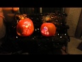Motion activated talking R2D2 and C3PO pumpkins