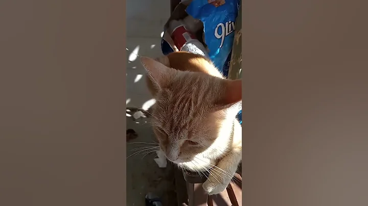 these two are always fighting