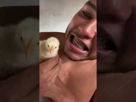 FIZ UMA GREVE DE PERERECA AQUI EM CASA E MEU MARIDO TÁ LOKO QUERENDO