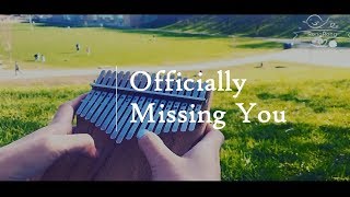 Officially Missing You - Tamia kalimba cover