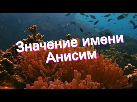 Значение имени Анисим. Толкование, судьба, характер