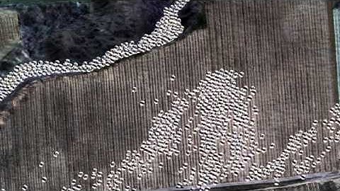 Farm Field Stochastic Hydrodynamics Simulation