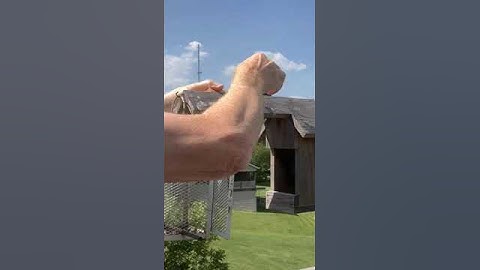 Blink Bird Watching Remote Birdfeeder Cam Short