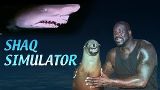 SHAQ Simulator
