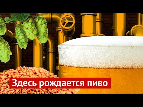Видео: 17 лучших городов мира по производству крафтового пива - Matador Network