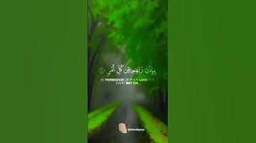 سورة القدر القارئ #ياسر_الدوسري #فلسطين#السعودية#المغرب#مصر#الجزائر
