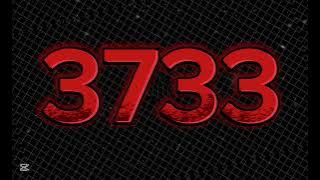 3733 