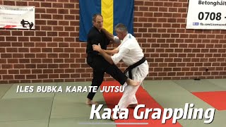 Grappling in Kata Seminar - Sweden