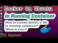 DevOps Docker On Linux Part-03 | Changes In Running Container | Create/Delete/Listing Files