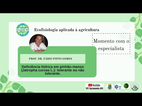 Vídeo: Composição Química Completa Do Pinhão