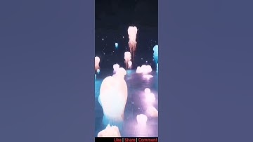 Jellyfish fx in ue4 niagara