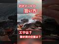 釣り始めに意識するだけで、入ってくる情報が変わります！　#沖縄　#釣り　#フカセ釣り　#fishing #グレ　#ウキ釣り