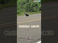 Bigbike gaming at Cagraray.