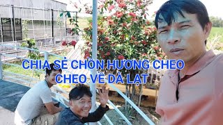 CHIA SẼ CHỒN HƯƠNG CHEO CHEO VỀ LÂM ĐỒNG 0947411522