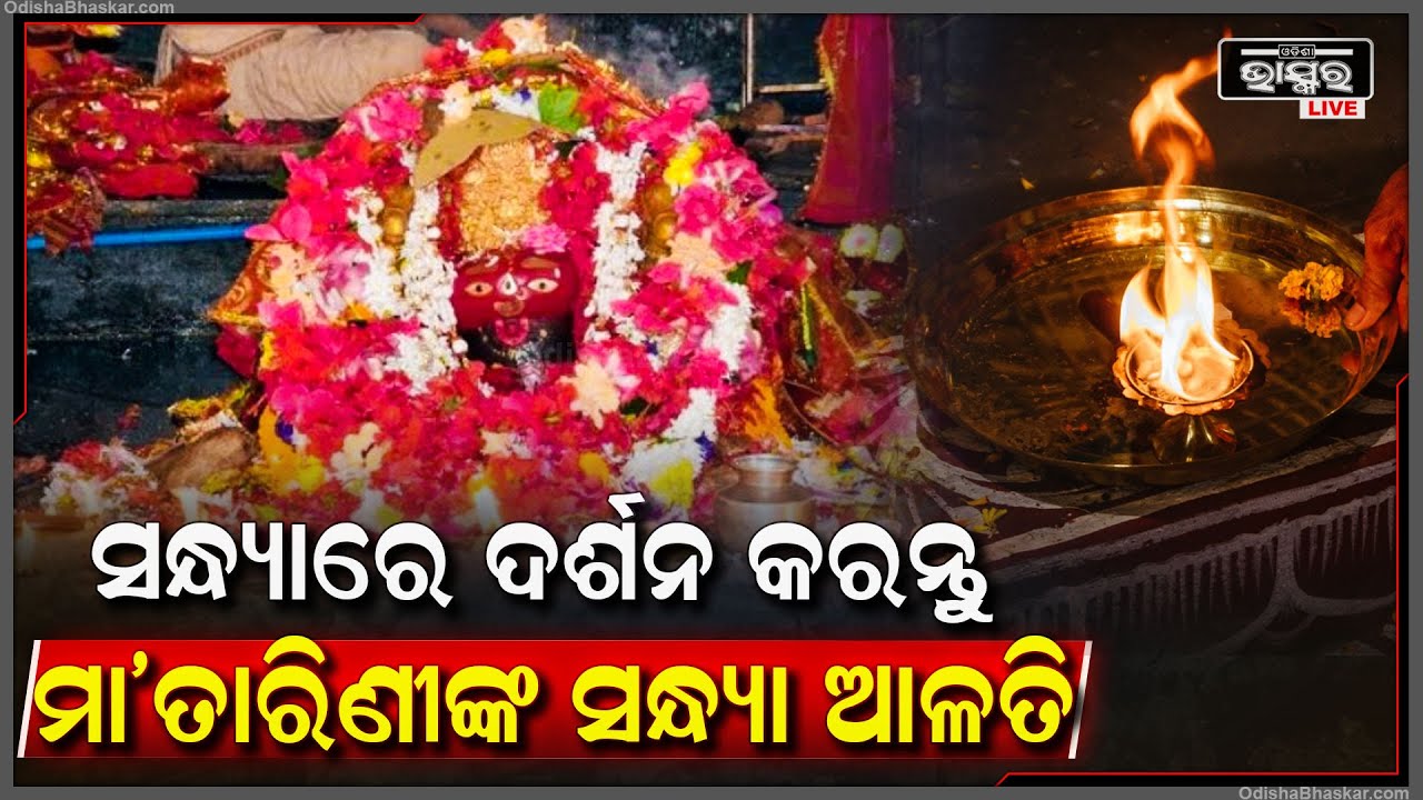 ସନ୍ଧ୍ୟାରେ ଦର୍ଶନ କରନ୍ତୁ ଘଟଗାଁ ରାଣୀ ମା'ତାରିଣୀଙ୍କ ସନ୍ଧ୍ୟା ଆଳତି, ମା'ଙ୍କ କରୁଣା ଲାଭ ହେବ Maa Tarini Alati