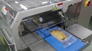 Box Motion Horizontal Packaging Machine=== SZ602