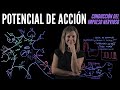 Potencial de Acción