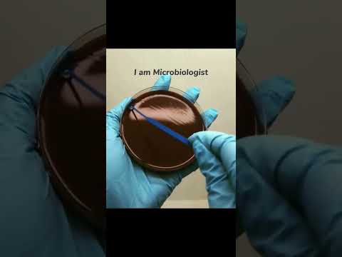 Agar plate Streaking