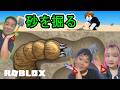 ◆【Roblox】レベルアップしながら砂を掘りつくせ!底には○○がいる!「砂浜を排水する」◆