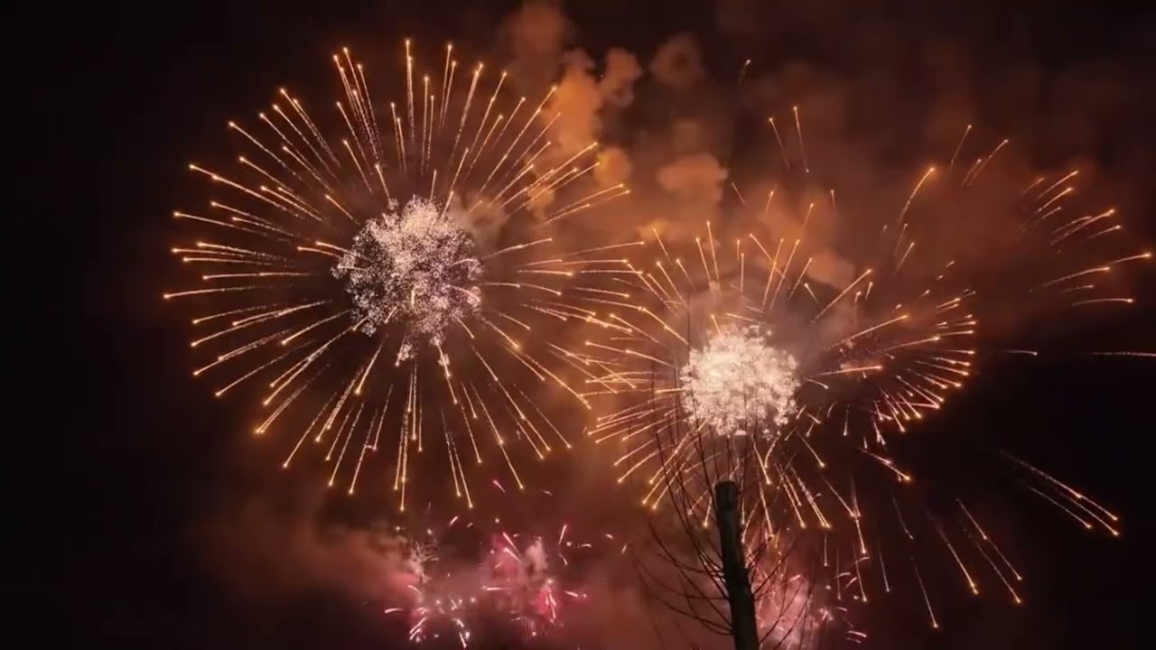 Beautiful Firecracker 💥#firecracker #fireworks #happynewyear #newyear #2026