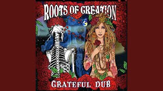 Video thumbnail of "Roots of Creation - Ripple"