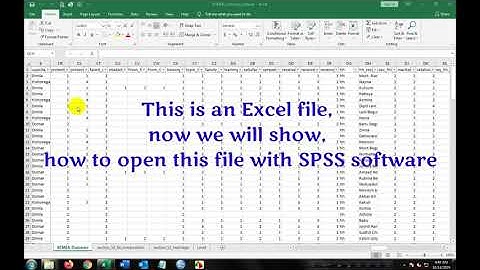 Import Data from Microsoft Excel into SPSS