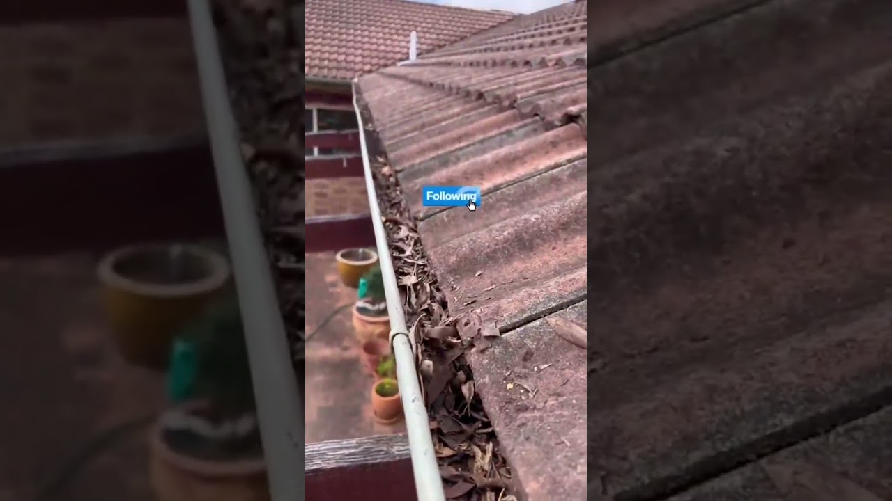 Prevent clogs and keep your gutters flowing! 🍃 #JimsMowing #GutterCleaning #HomeCare Prevent clogs and keep your gutters flowing! 🍃 #JimsMowing #GutterCleaning #HomeCare