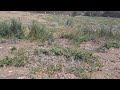 Vacant Lifestyle Smallholding with Panoramic Mountain Views