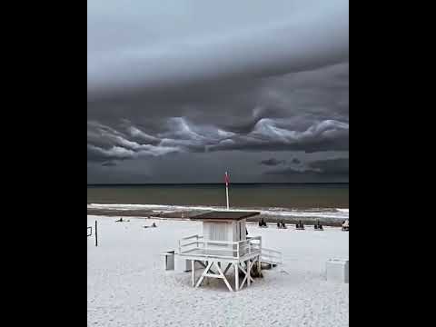 Video: Floridas Negadījumā Iet Bojā Pieci Bērni