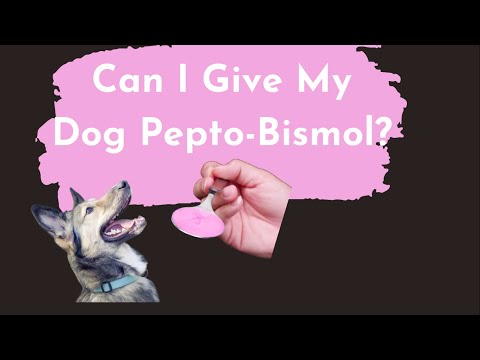 Video: Zou pepto-bismol een hond schaden?