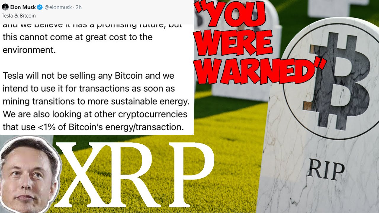 Ripple XRP WE TOLD YOU SO BITCOIN'S DEATH HAS ARRIVED!