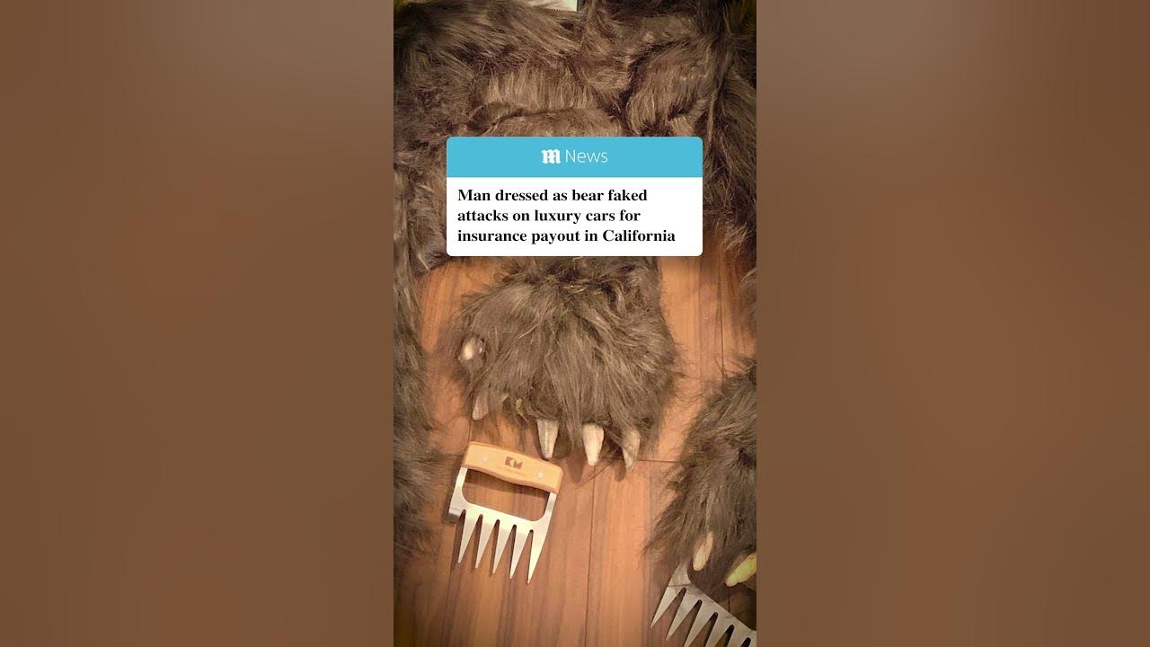 Man dressed as BEAR faked attacks on luxury cars for insurance payouts in California