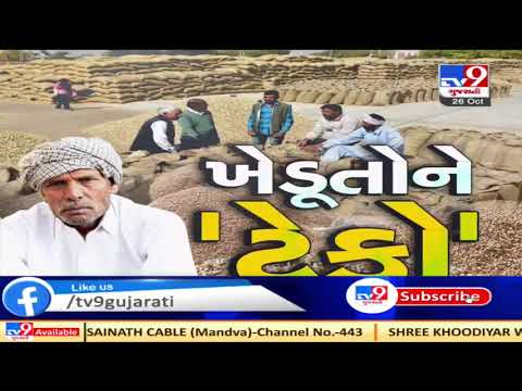 Govt to purchase groundnut at MSP from today | TV9News