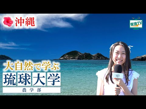 【琉球大学農学部】沖縄だからできる｜農業から健康・医療まで幅広く勉強できる #琉球大学農学部 #琉球大学 #農学部