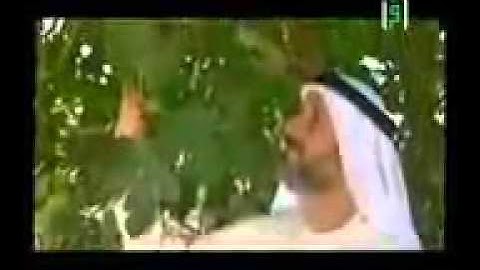فضل سورة التين والزيتون .. ماشاء الله