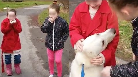 Rosie, il cane anziano salvato dal canile grazie all'amore di due sorelline