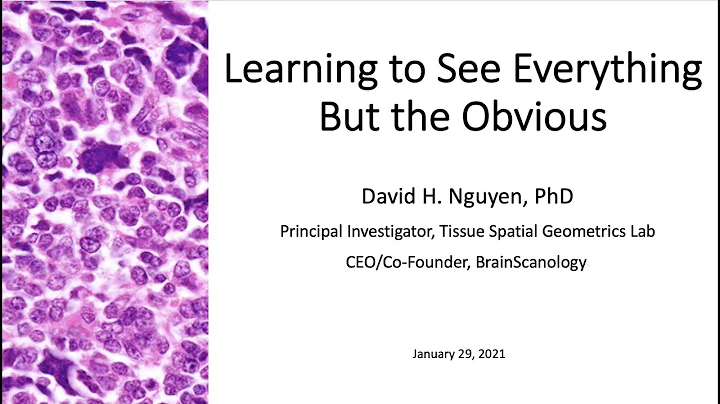 Learning to See Everything But the Obvious (aka the foundations of my digital pathology research)