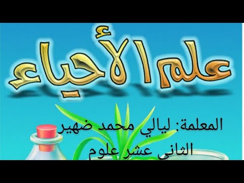 العوامل المؤثرة في البناء الضوئي