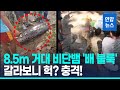 &#39;배 불룩&#39; 8.5m 거대 비단뱀…배 갈라보니 노인 시신 &#39;충격&#39; / 연합뉴스 (Yonhapnews)