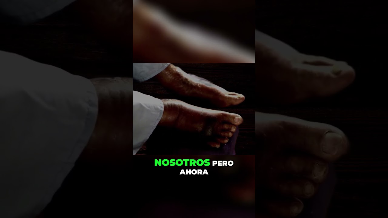 El proceso de descomposición del cuerpo humano  ¡Descubre cómo ocurre! #shortsviral