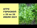 Агрогороскоп с 26 по 28 июля 2021 года