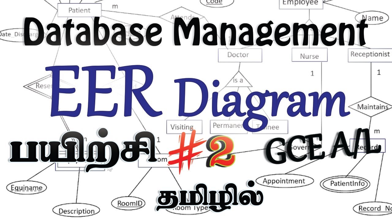 #2| GCE (A/L) ICT | EER | Database | Tamil Medium | Unit 08 - YouTube