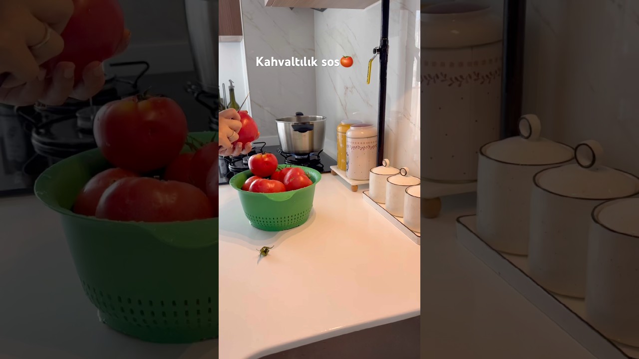 Az Ölçülü Kahvaltılık Domates Sos🍅 #shorts #yemek #yemektarifleri #kahvaltılıktarifler #yaz Az Ölçülü Kahvaltılık Domates Sos🍅 #shorts #yemek #yemektarifleri #kahvaltılıktarifler #yaz