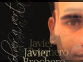 JAVIER BROCHERO - Volver a verte