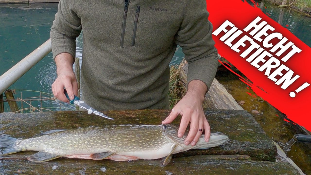Hecht grätenfrei filetieren - 5 Filet Methode - YouTube