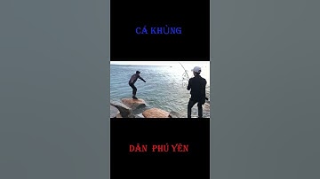 Câu Cá Biển - Câu Lure Mồi jig Lên Cá Khủng